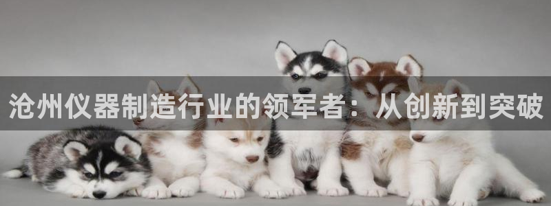 欧星娱乐国际平台：沧州仪器制造行业的领军者：从创新到突破