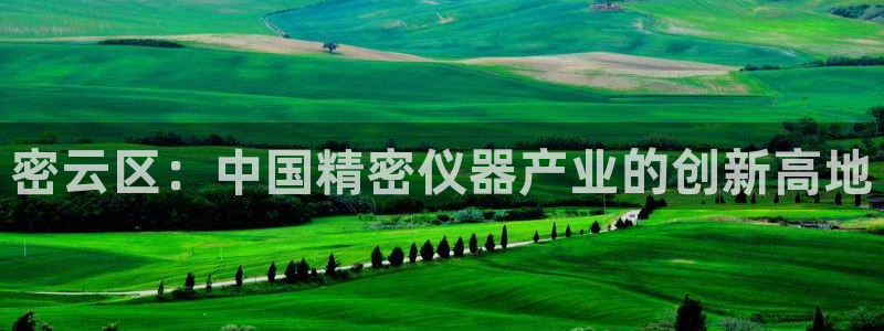星娱乐online欧弟