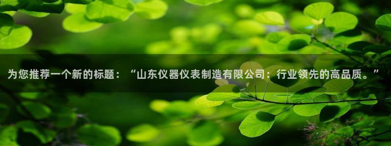 星娱乐online欧豪：为您推荐一个新的标题：“山东仪器仪表