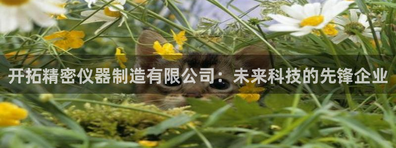 星欧娱乐平台是什么：开拓精密仪器制造有限公司：未来科技的先锋