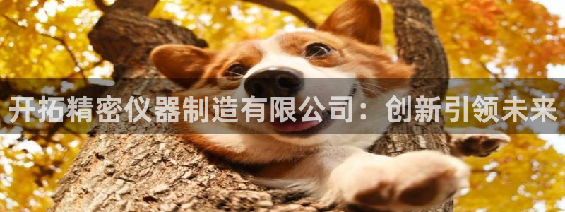 世欧星途娱乐：开拓精密仪器制造有限公司：创新引领未来