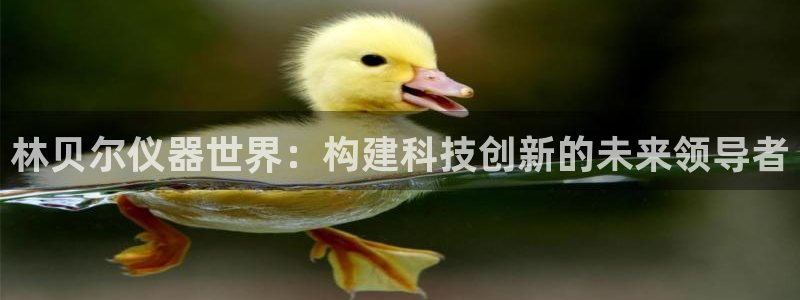 星欧娱乐意7O777：林贝尔仪器世界：构建科技创新的未来领导