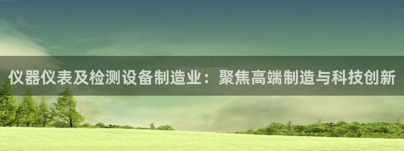 星欧娱乐平台怎么样：仪器仪表及检测设备制造业：聚焦高端制造与