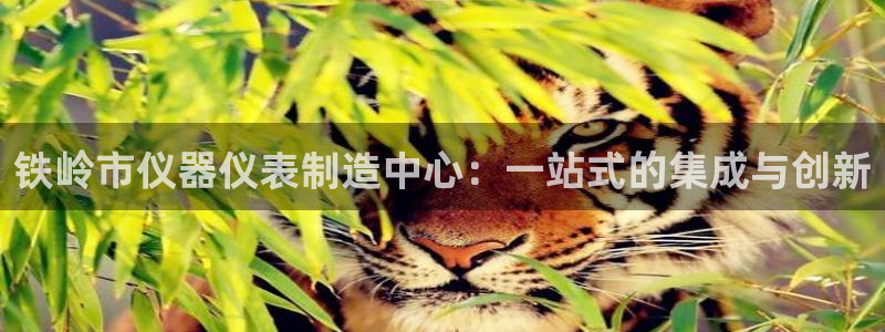 星欧娱乐娱乐是正规的吗：铁岭市仪器仪表制造中心：一站式的集成