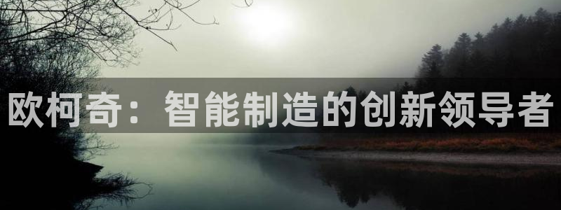 星欧娱乐雀V是什么平台：欧柯奇：智能制造的创新领导者