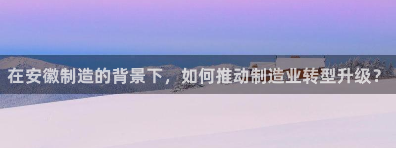娱乐星天地马思纯欧豪：在安徽制造的背景下，如何推动制造业转型