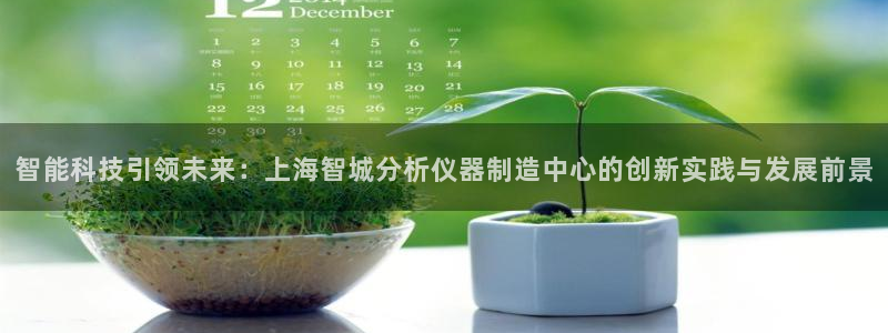 欧星娱乐的盘口：智能科技引领未来：上海智城分析仪器制造中心的