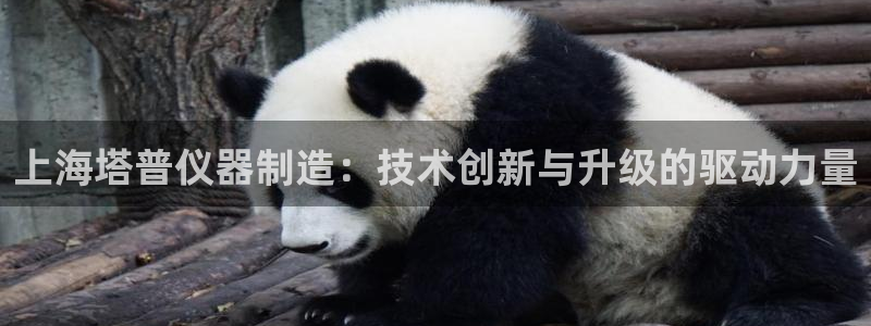 欧星娱乐国际平台：上海塔普仪器制造：技术创新与升级的驱动力量