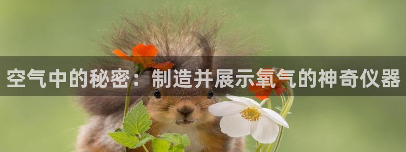 欧星娱乐pt：空气中的秘密：制造并展示氧气的神奇仪器