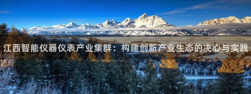 欧星娱乐备用网址：江西智能仪器仪表产业集群：构建创新产业生态