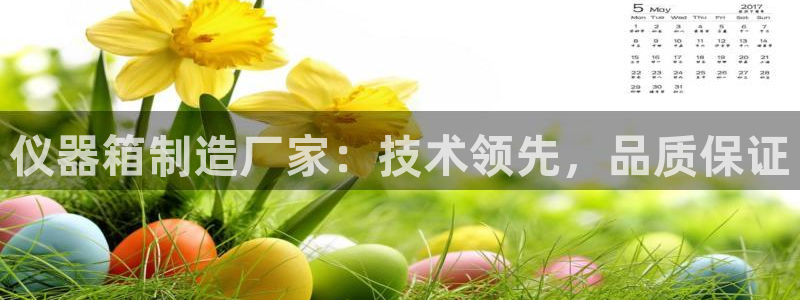 欧乐星城团购娱乐怎么样：仪器箱制造厂家：技术领先，品质保证