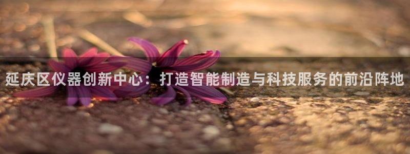 星欧娱乐官方微博：延庆区仪器创新中心：打造智能制造与科技服务