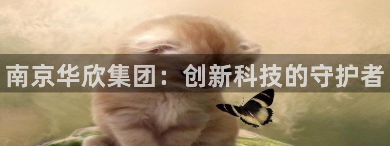 星欧娱乐扣费详情详解：南京华欣集团：创新科技的守护者