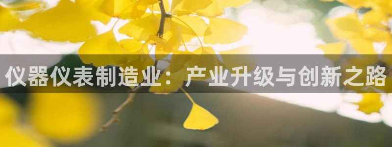 星欧娱乐改名后叫什么：仪器仪表制造业：产业升级与创新之路