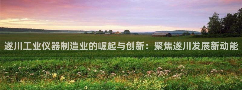 星欧娱乐注册章7O777：遂川工业仪器制造业的崛起与创新：聚