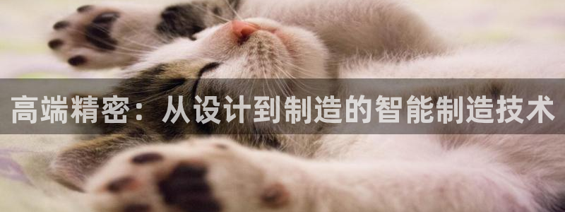 星欧娱乐官方网站首页：高端精密：从设计到制造的智能制造技术