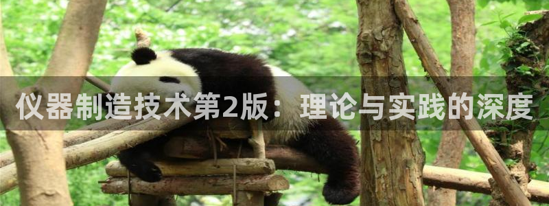 欧乐星城娱乐的介绍：仪器制造技术第2版：理论与实践的深度