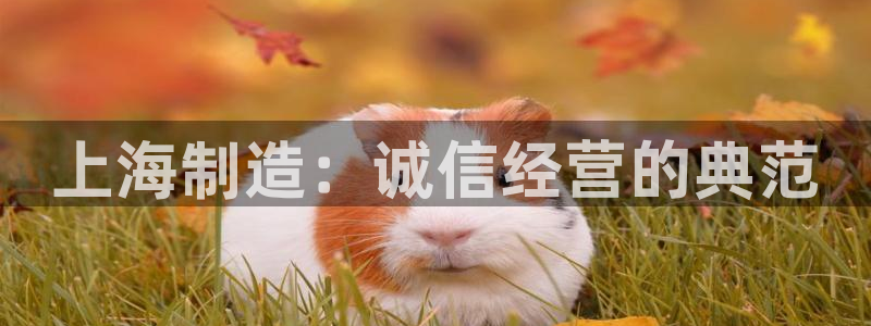 星欧娱乐最新版下载链接：上海制造：诚信经营的典范