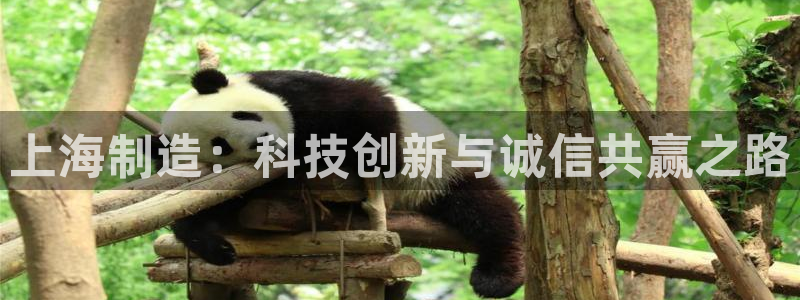星欧娱乐登陆：上海制造：科技创新与诚信共赢之路