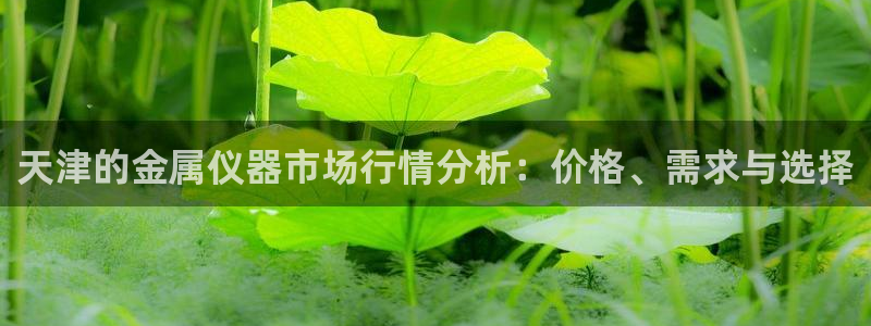 星欧娱乐围7O777：天津的金属仪器市场行情分析：价格、需求