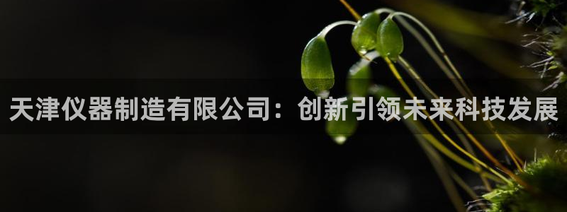 金欧岗星熠娱乐：天津仪器制造有限公司：创新引领未来科技发展