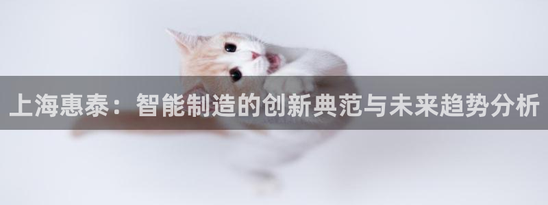 星欧娱乐登陆：上海惠泰：智能制造的创新典范与未来趋势分析