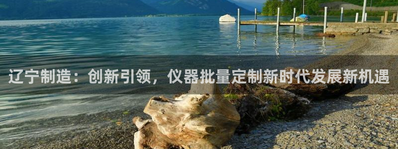 星欧娱乐公司老板背景：辽宁制造：创新引领，仪器批量定制新时代