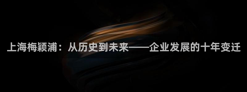 星欧娱乐注册登录：上海梅颖浦：从历史到未来——企业发展的十年