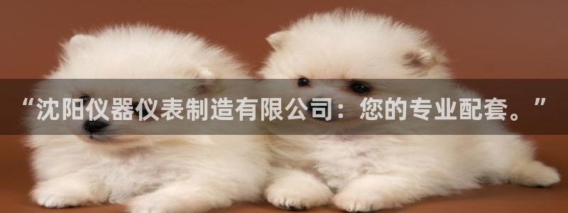 星欧娱乐的安装方法及注意事项：“沈阳仪器仪表制造有限公司：您