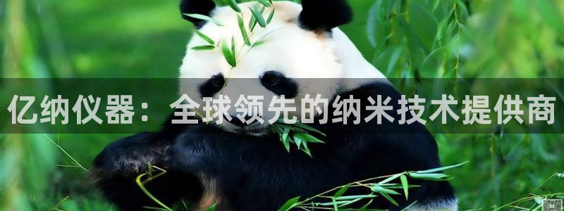 星欧娱乐平台主管：亿纳仪器：全球领先的纳米技术提供商