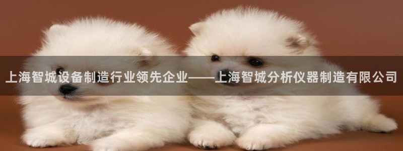 星欧娱乐公司老板背景：上海智城设备制造行业领先企业——上海智