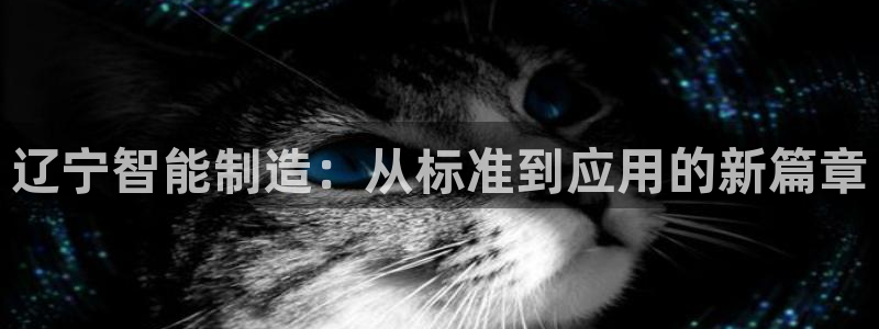 星欧娱乐的官方网站