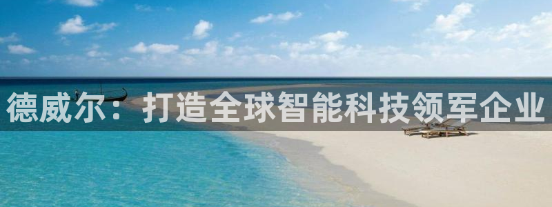 星欧娱乐登录入口：德威尔：打造全球智能科技领军企业