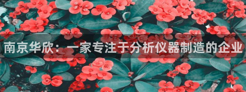 星欧娱乐app注册：南京华欣：一家专注于分析仪器制造的企业