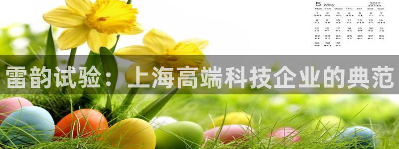 欧星国际娱乐：雷韵试验：上海高端科技企业的典范