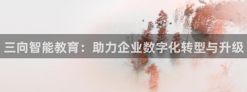 星欧娱乐主管：三向智能教育：助力企业数字化转型与升级