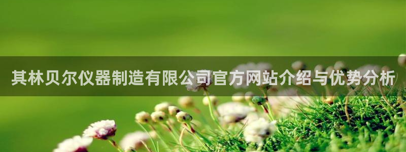 欧乐星城休闲娱乐：其林贝尔仪器制造有限公司官方网站介绍与优势