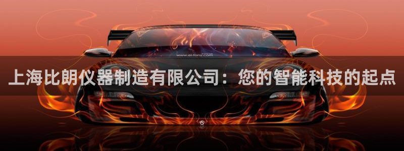 星欧娱乐客服联系方式：上海比朗仪器制造有限公司：您的智能科技