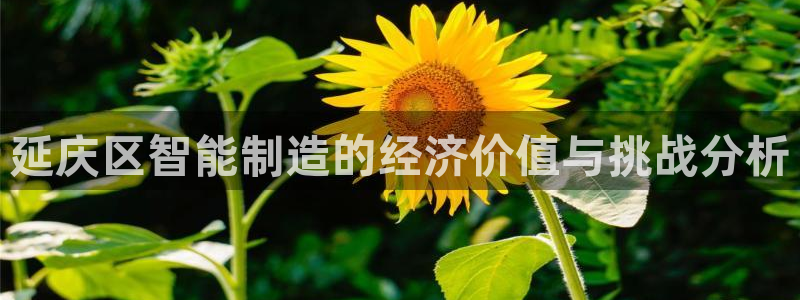 星欧娱乐现在叫什么：延庆区智能制造的经济价值与挑战分析