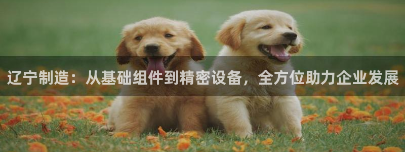 星欧娱乐登录后怎么登录：辽宁制造：从基础组件到精密设备，全方