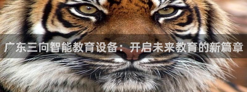 星欧娱乐平台怎么样：广东三向智能教育设备：开启未来教育的新篇