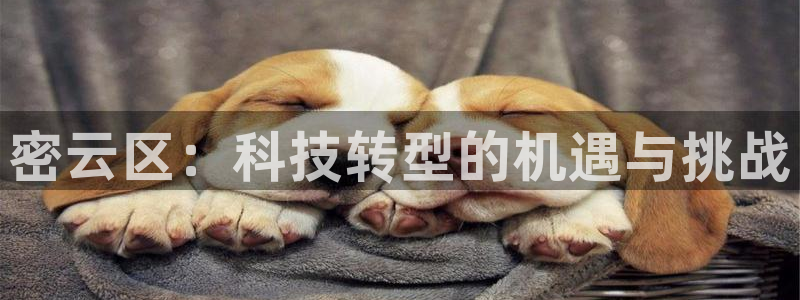 星辉娱乐进入欧连杯了吗：密云区：科技转型的机遇与挑战