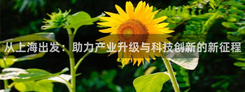 欧星开户娱乐：从上海出发：助力产业升级与科技创新的新征程