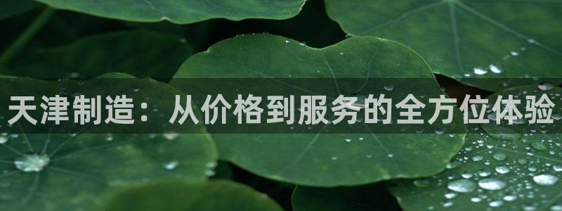 星欧娱乐官方网页