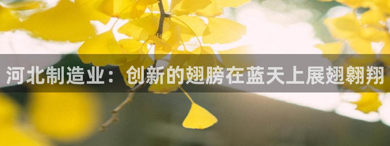 欧乐星城娱乐的介绍：河北制造业：创新的翅膀在蓝天上展翅翱翔