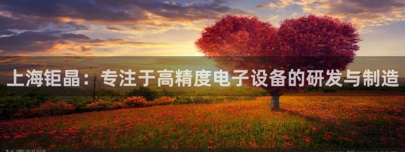 星欧娱乐登录入口：上海钜晶：专注于高精度电子设备的研发与制造