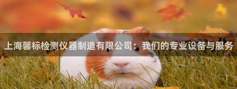 欧星娱乐 知乎：上海馨标检测仪器制造有限公司：我们的专业设备