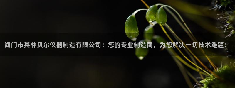 欧星娱乐注册：海门市其林贝尔仪器制造有限公司：您的专业制造商