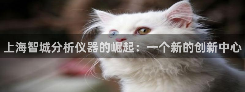 娱乐星天地马思纯欧豪：上海智城分析仪器的崛起：一个新的创新中