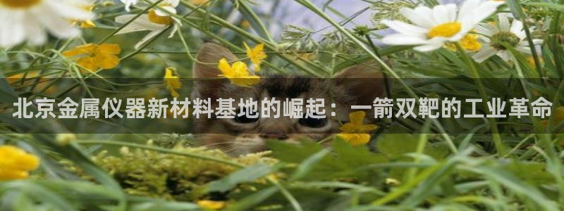注册星欧娱乐需要多少钱：北京金属仪器新材料基地的崛起：一箭双